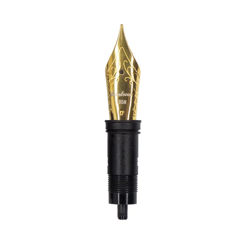 Estie Nib Gold - Medium - Nib