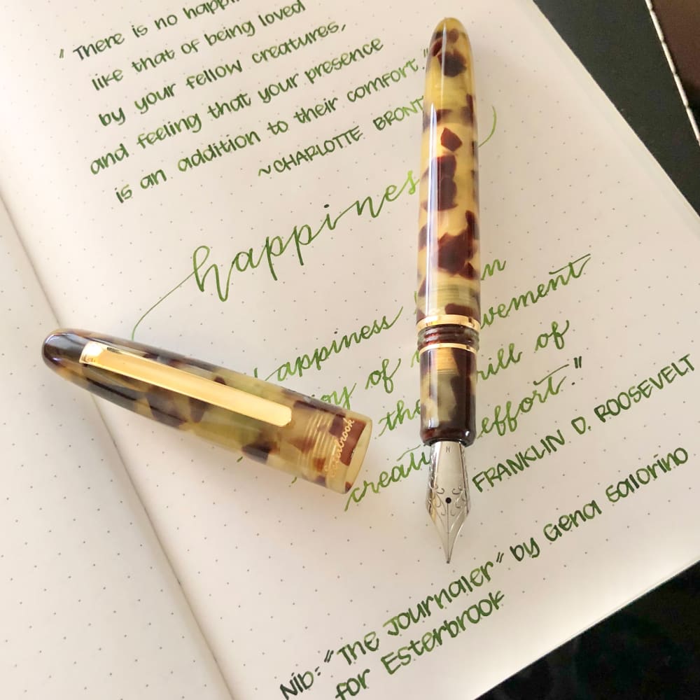 Estie tortoise - palladium trim fountain pen - Fountain Pen