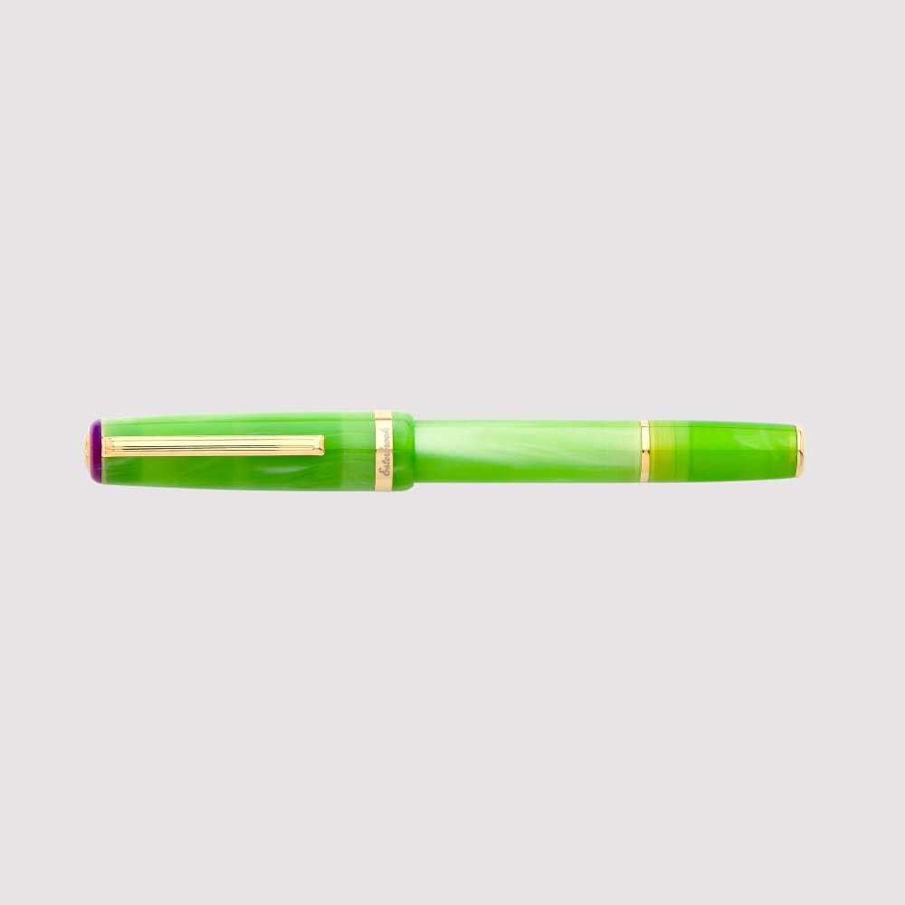 JR Pocket Pen - Paradise - Key Lime Gold Trim - Fountain Pen